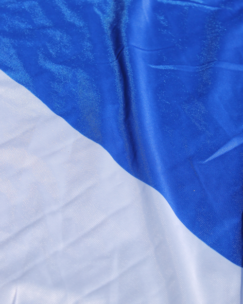 Fremad flag - blå/hvid