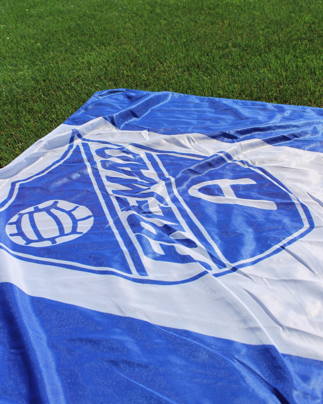 Fremad flag - logo